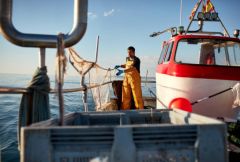 Indemnisation de la filière pêche fragilisée par l'interdiction de pêcher dans le golfe de Gascogne