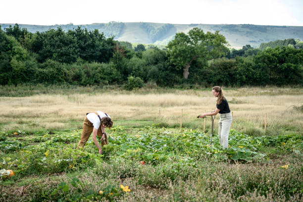 Question écrite sur les Conséquences de la réforme du financement des contrats d’apprentissage pour les exploitations agricoles