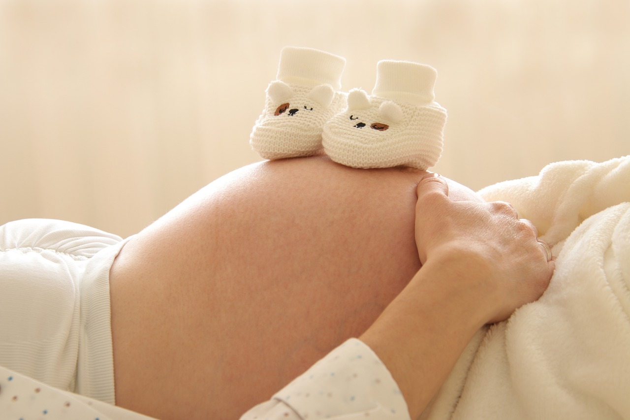 pregnant-6189040_1280 arbre de vie en hommage aux donneurs d’organes