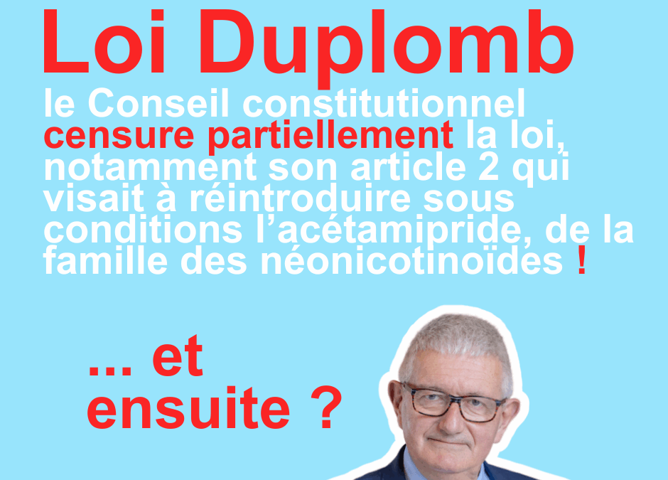 Le conseil constitutionnel censure la loi Duplomb… et ensuite ?