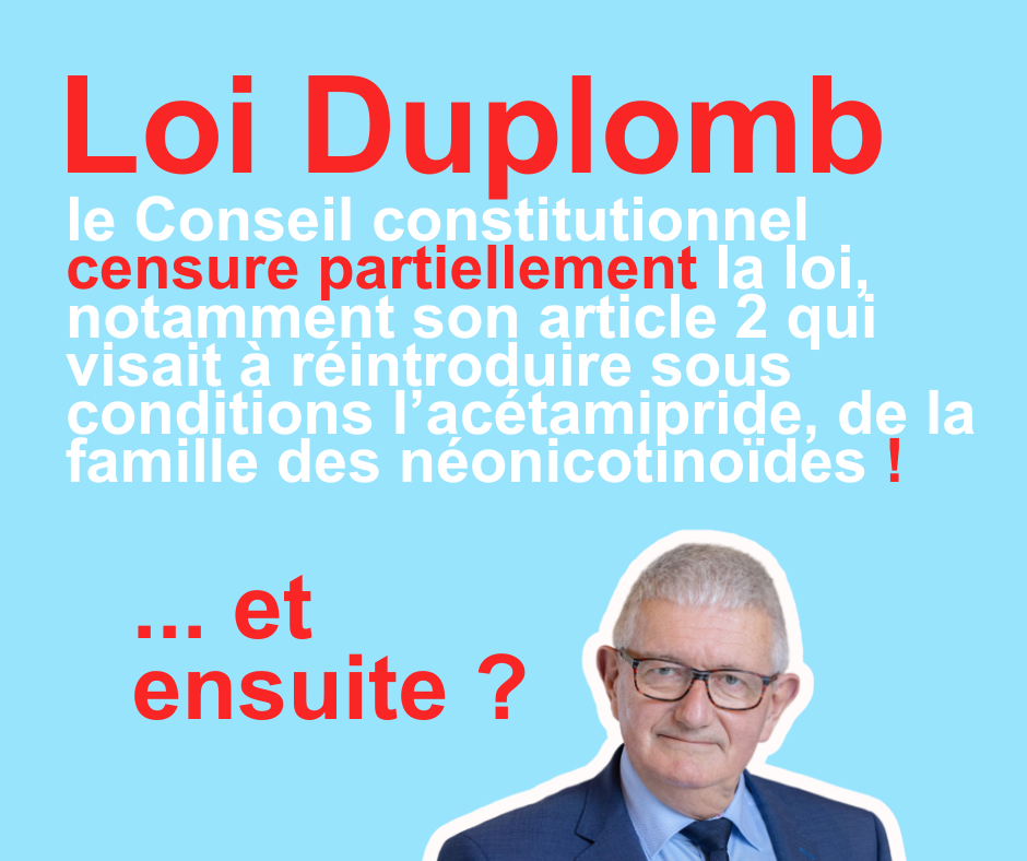 arbre de vie en hommage aux donneurs d’organes