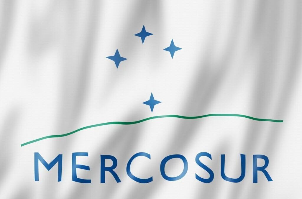 Ma réaction sur le mouvement agricole du vendredi 26 septembre contre le Mercosur !