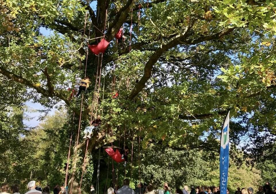 À la fête de la forêt départementale d’Avaugour-Bois Meur !