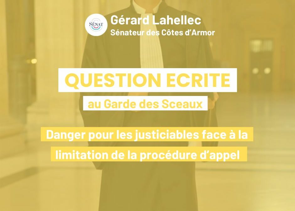 Conséquences de la limitation de la procédure d&rsquo;appel pour les justiciables  !