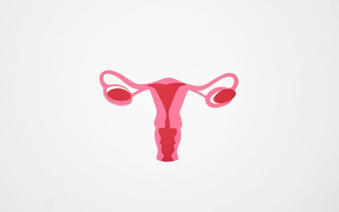 Pénurie de gynécologues médicaux en France et dans notre département !